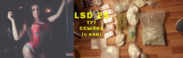 трава Новодвинск