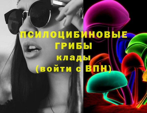 соль курить ск Новозыбков