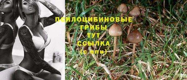 кокаин Няндома
