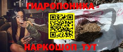 гашик Жуковский