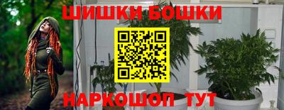 гашик Жуковский