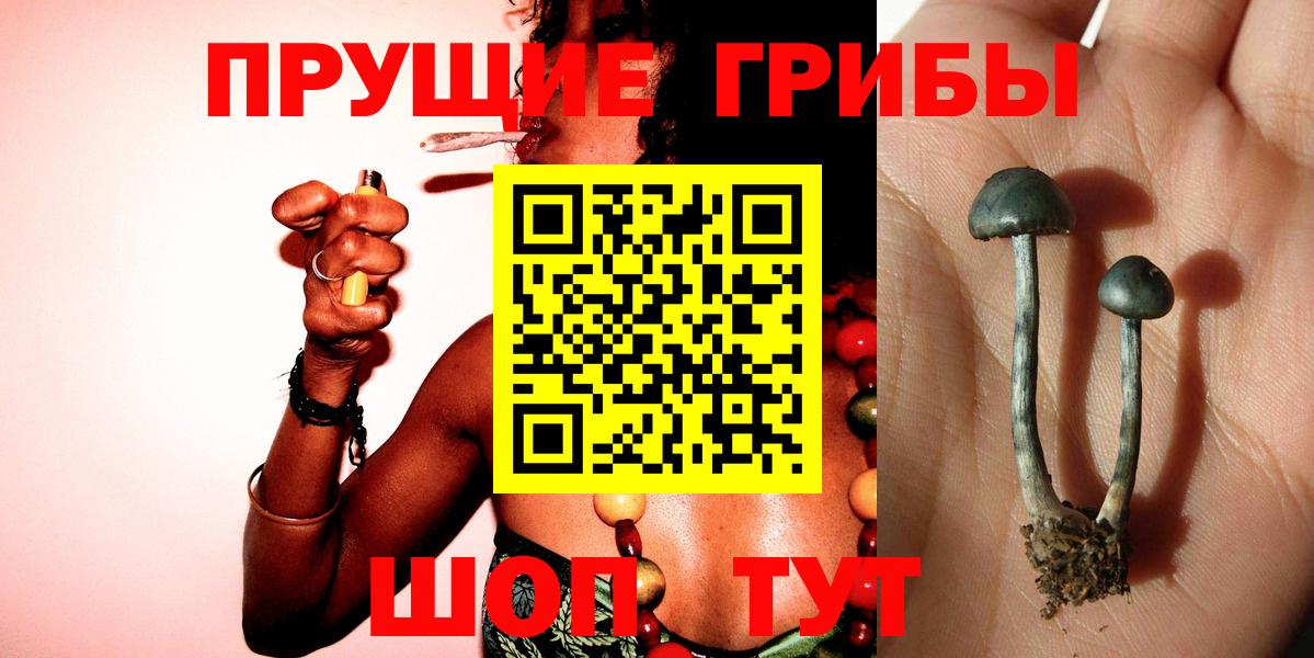 Псилоцибиновые грибы ЛСД  Вход с VPN  Галлюциногенные грибы ЛСД  Челябинск 